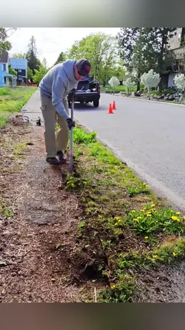 Clean up this messy sidewalk #cleanmoss #gardening #cleaninggarden #pressurewashing #powerwash #cleaningvideo #exteriorcleaning #cleanwithme #wash #cleaning #pressurecleaner #pressurecleaning #satisfyingvideo #cleaningtok #lawn #satisfy #lawntok #mossremoval #overgrownyard 