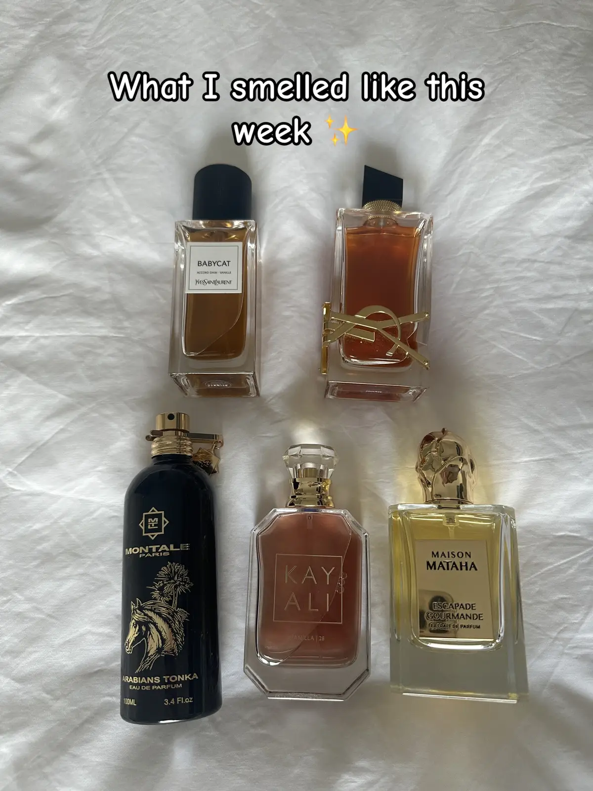 #perfumetok #perfumetiktok #perfumerecommendations #fragrancetiktok #fragrancetok #bestperfumes #perfumeaddict #fyp 