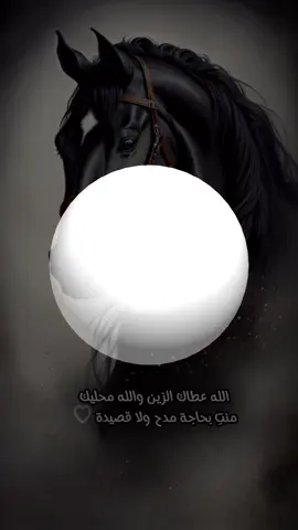 اهداء لكل وحده اسمها نوره تصميمي #اكسبلور #لايك_متابعه_اكسبلور #شيلات_روعه_خواطر_ذوق #ترند_تيك_توك_مشاهير #ترند_ 