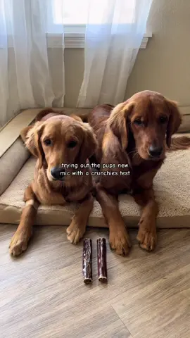 no puppies were harmed during testing 