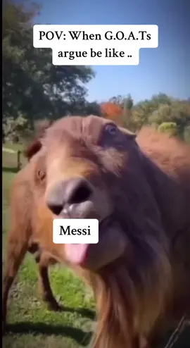 🤣 #funnyvideos #goat #football 