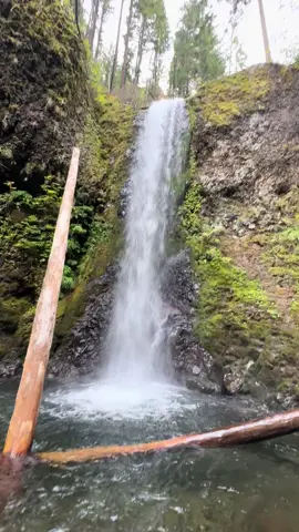 Somewhere in Oregon 😍 #fyp #Hiking #waterfall #travel #Outdoors #oregon 