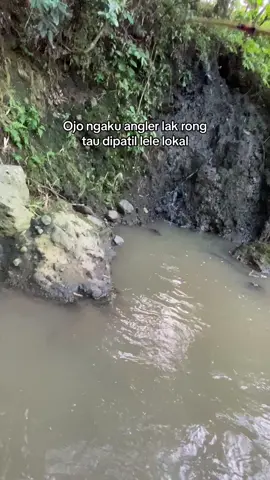 Rodok greges sitik#jawa #jawa24jam #CapCut #JelajahJakarta #mojokerto24jam🤙 #fypdongggggggg #fyp #viralvideotiktok #microfishing #moots #4you #4upage 