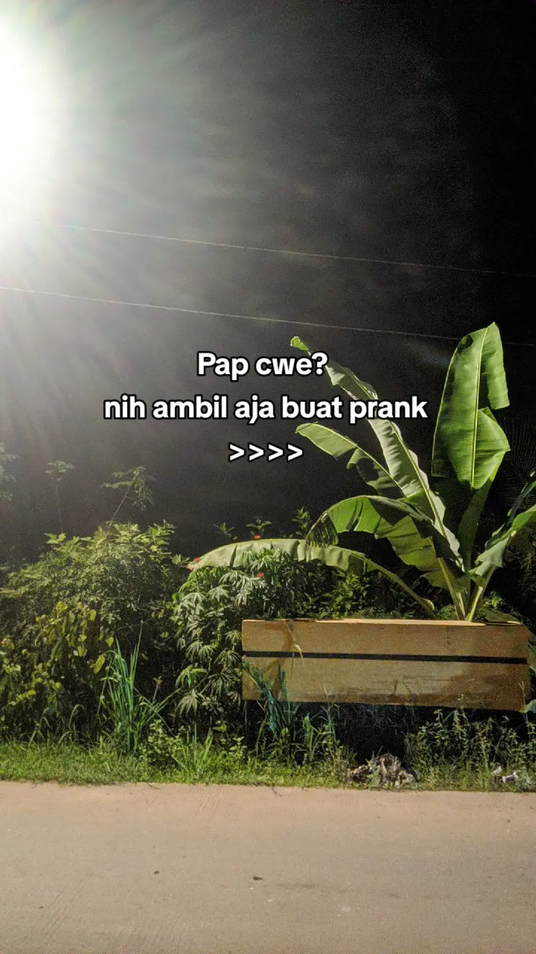 sekali² ga pake AM🗿#cweorang #cewekcantik #tiktok #papayang #jomblohalu #trend #mots? #fypシ #cwesmp 