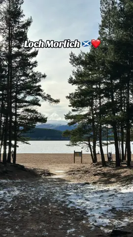 The ducks wanted their own photo shoot #Lochmorlich #scenery #Scotland 