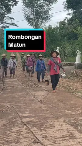Bagian 18 | Sore hari wayahe Bali Seko buruh Matun lur... #gunungkidul24jam #fyp #fyppppppppppppppppppppppp #fyppppp #pemkabgunungkidul #kominfogunungkidul #campursari #gunungkidul #kimgude #beritagunungkidul #fypシ #matun #buruhtani #tani #dusun #suasanapedesaan 