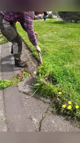 Remove grass that has grown over the path over the years #cleanmoss #gardening #cleaninggarden #pressurewashing #powerwash #cleaningvideo #exteriorcleaning #cleanwithme #wash #cleaning #pressurecleaner #pressurecleaning #cleaningtok #satisfyingvideo #lawn #lawntok #satisfy #mossremoval #overgrownyard #renovation 