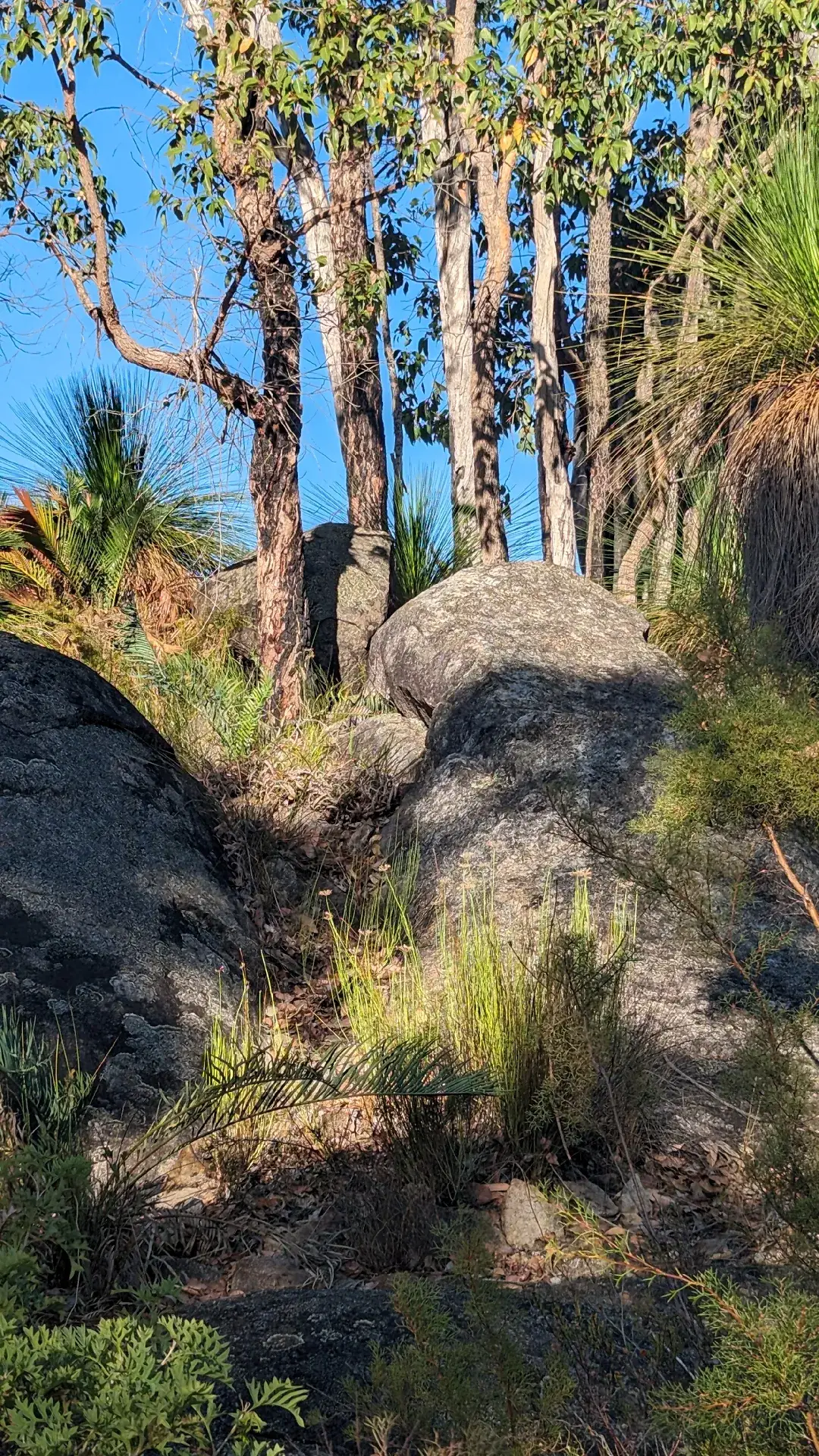 #boulderrock #rocks #rockformations #perthhills #natural #nature #fyp #naturesbeauty #wa #memories  #naturescenery #naturessplendor #rockart #naturesart #australia 