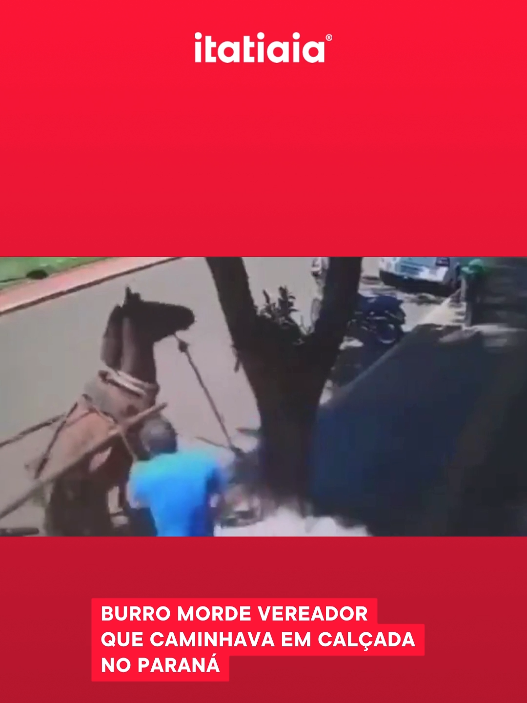 🛜 VIRAL |  Um passeio tranquilo pela cidade terminou em dor para o vereador Renato de Vicente, de 38 anos, de São Manoel do Paraná. Ele foi vítima de um ataque de um burro que estava preso a uma carroça. O caso ocorreu no sábado (2) no Centro da cidade e foi flagrado por uma câmera de segurança. As informações são do g1. Segundo o político, o animal o mordeu com força no tórax: 