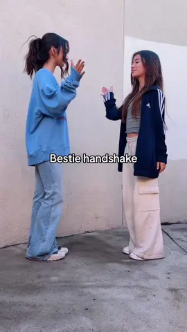 🫸🫷#handshake #bestie #bff #sisters #fyppp 