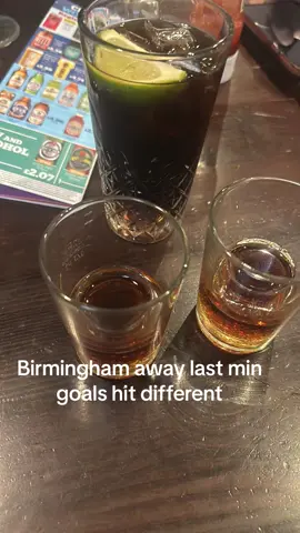 #southamptonfc #footballcasuals🍋 #lastminutewinner #keepitlemon🍋 Birmingham away 🔴⚪️🇦🇹🇦🇹