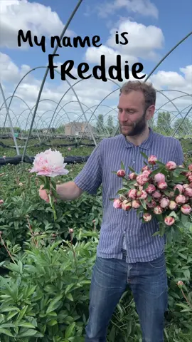 Allow me to introduce myself! #flowers #flower 