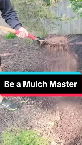 Mulching Made Easy! A Hands-On Guide to Perfect Plant Bedding! #mulch #mulching #lawn #pitchfork #rake #landscaping #lawntok 