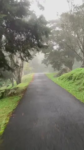 udah lama gak ke cibodas pas kesini berkabut dan hujan tp seru bgt #fyp #cibodas #bogor #kebun 