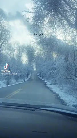 #CapCut 