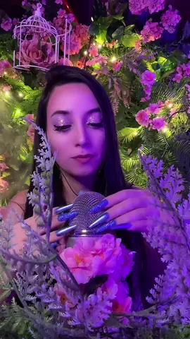 HELLO MY DEARS LIVE TODAY AT 1:00 am 🇧🇷 OLÁ MEUS LINDOS, LIVE HOJE À PARTIR DA 1:00 am ❤️ #asmr  #relax  #sleep #garden  #magic 