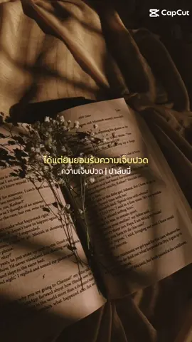 #CapCut #สตอรี่ความรู้สึก #tiktoksong #เพลงฮิตtiktok #เพลง90 #เพลง90ฟังเพราะๆ #ความเจ็บปวด 