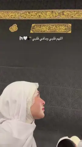 #فاطمة_قيدار 