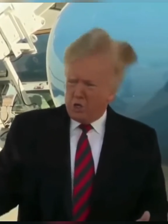 Trump's wig falls off #EINbeauty#wig #gluelesswig #hair