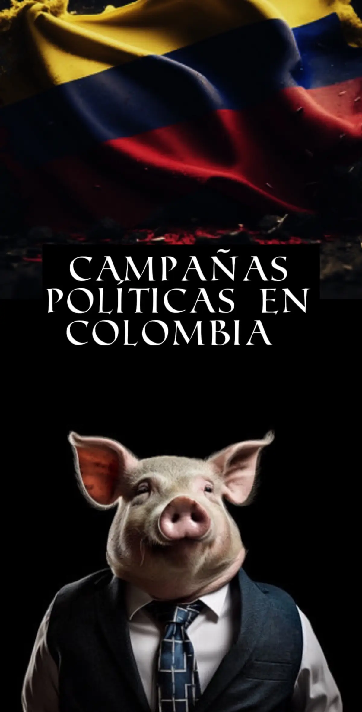 CAMPAÑAS POLITICAS EN COLOMBIA