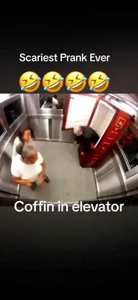 just for laughs🤣🤣#foryou #funny #flower #laughing #scary #viralvideo #viraltiktok #viral 