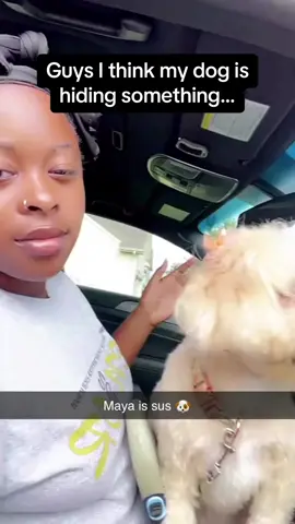 The way the dog’s eyes changed 🤣 #Pubity (@💕 via @collab)