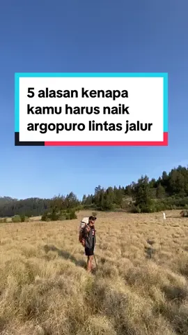 Argopuro kalo mau menikmati dan santai bisa ambil pendakian 4 hari 3 malam. Aku kemaren juga ambil segitu karena baru pertama dan pengen menikmati.  #gunungargopuro #baderan #bremi #probolinggo #travel #pendaki #indonesia 