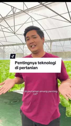 Ini pentingnya penggunaan teknologi di bidang pertanian 🤖🌱 Beleafriends tau ga nih kalau Beleaf Farms sudah menggunakaan berbagai jenis teknologi untuk mempermudah petani dan mengoptimalkan produktivitas loh! Yuk dukung terus para petani muda Beleaf Farms! #beleaf #beleaffarms #sayabeleaf #kesegaranuntukkeluarga #petanimuda #petaniindonesia🇮🇩🇮🇩🇮🇩🌿🌿 #petanimilenial #farm #farmlife #smartfarming 