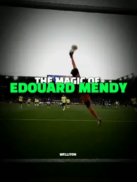 The Magic of Edouard Mendy 🧱🧤 #theartofgoalkeeping #goalkeeper #edouardmendy #mendy #foryoupage @Welliton Secundary 