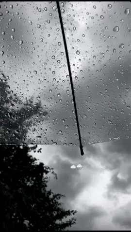 الله يكثّر من الأيام اللي يحلّيها صوت المطر ♥️. #explorepage #fyp #Pluviophile#مطر #اكسبلور #نشر #فيديو 
