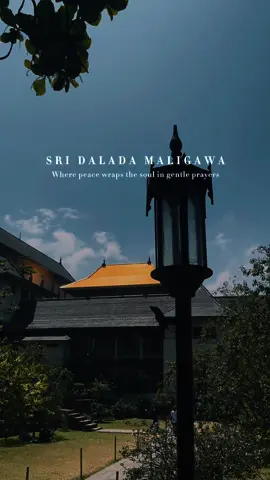 In Kandy's heart,  where whispers float and faith resides, Sri Dalada Maligawa,  in grandeur, quietly abides Here, history's embrace and devotion's grace meet, A sanctuary where past and present, in reverence, greet  📍 @Sri Dalada Maligawa ( Temple of the Tooth) - Sri Lanka    #sridaladamaligawa #kandy #fyp #foryou #foryoupage #viral #cinematography #KiaraCinéastes #templeofthetooth #holypearl #mayawarunge_lokaya #mayawarungelokayathemesong #kandysrilanka #beautyofsrilanka🇱🇰 #peacefulvibes #cinematic #cinematicvideo #cinematicvideography #aesthetic #aestheticvideos #xyzbca #trending #blowthisup #srilankan_tik_tok🇱🇰 