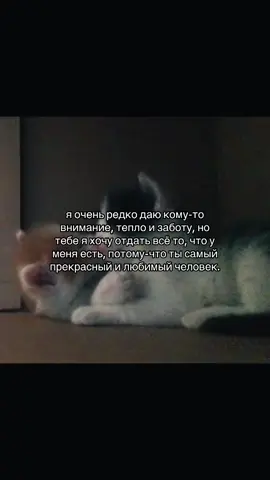 тгк: qqraze💗 #рекомендации #котики🐈 #милыевидео #факты #любовь❤ 