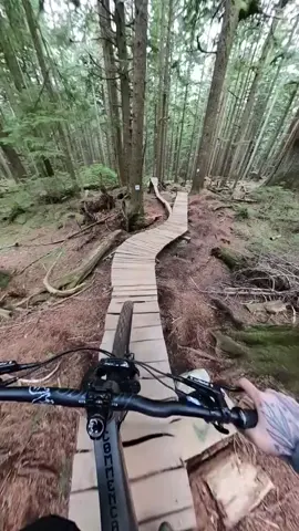 This line is 😍 Who wants to give it a try on their mountain bike? #sport #sports #bike #mtb #mountainbike #sportsontiktok #trail #pov #asmr #forest #mountain #downhill #downhillmtb #cycling #cyclinglife