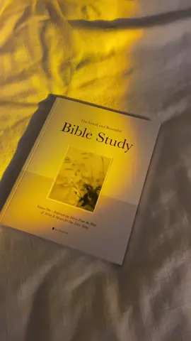 finally an aesthetic bible study book that actually has good quality content…