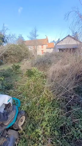 Je suis jardinier paysagiste je réalise l'entretien des espaces verts des particuliers et aujourd'hui je vous partage un petit chantier de débroussaillage. Des avis sur cette idée de 