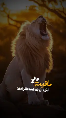 #جديدي🚸🎬مصمم #صدام_حسين #شيلات_روعه_خواطر_ذوق #tiktoklang #المصمم_احمد_ahmed #قوالب_كاب_كات_جاهزه_للتصميم #tiktoklong #اكسبلورexplore #دويتو #tiktoklongs #خليل_البلوشي 