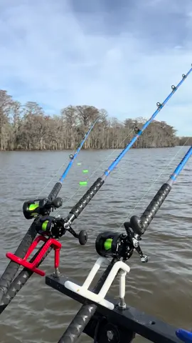@Catch The Fever rods ✅ @Smackdown Rod Holders ✅ @AlphaBoardz ✅ What a beautiful sight 🔥🔥🔥 #fishing #catfish #fishingtiktoks #fishingtips #fishinglife 