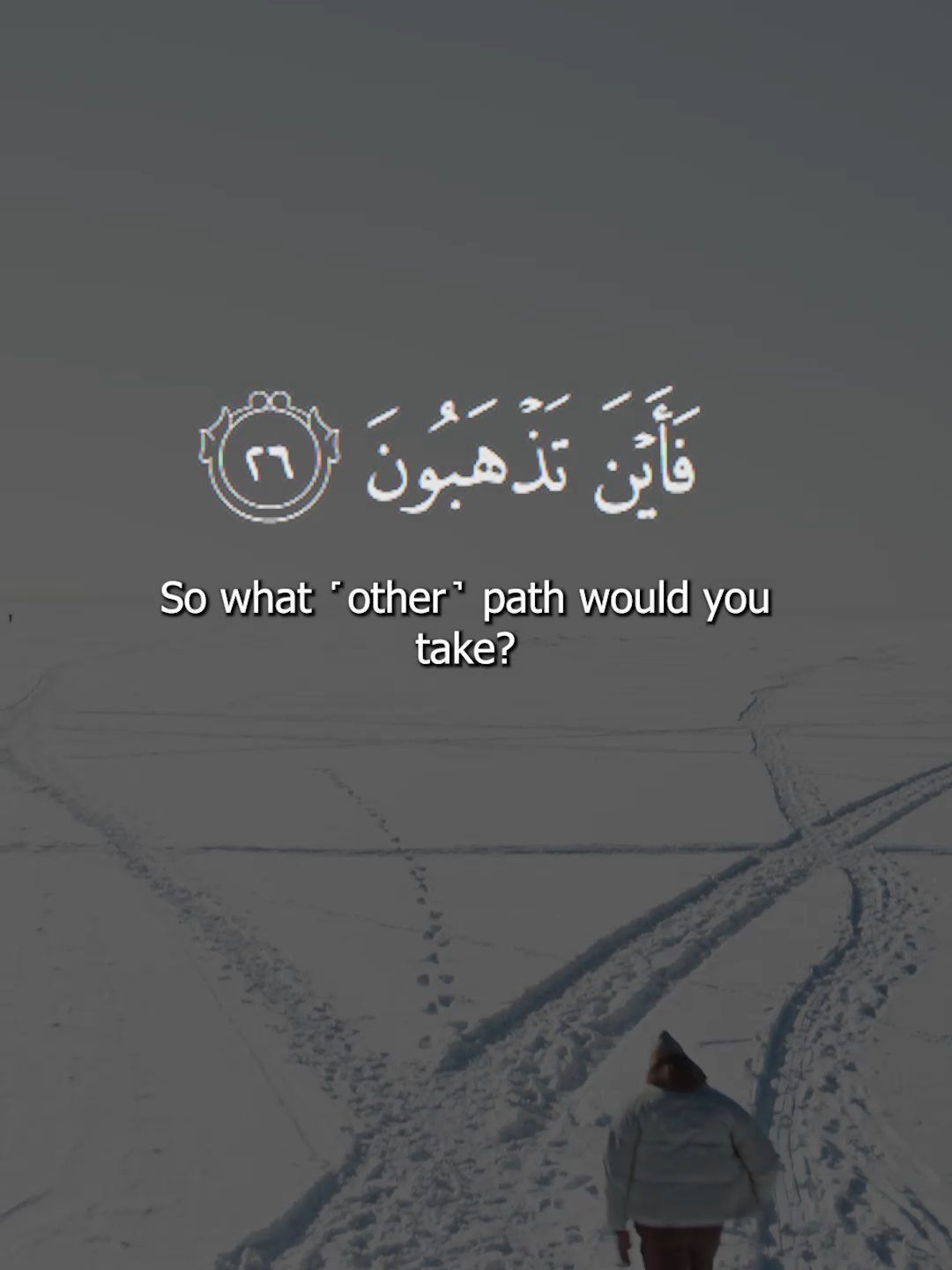 So what ˹other˺ path would you take? #quran #quran_alkarim #quranrecitation #quranvideo #islamicreminder #salahbukhatir #salahbukhatir❤️🕋 #salahbukhatir💙