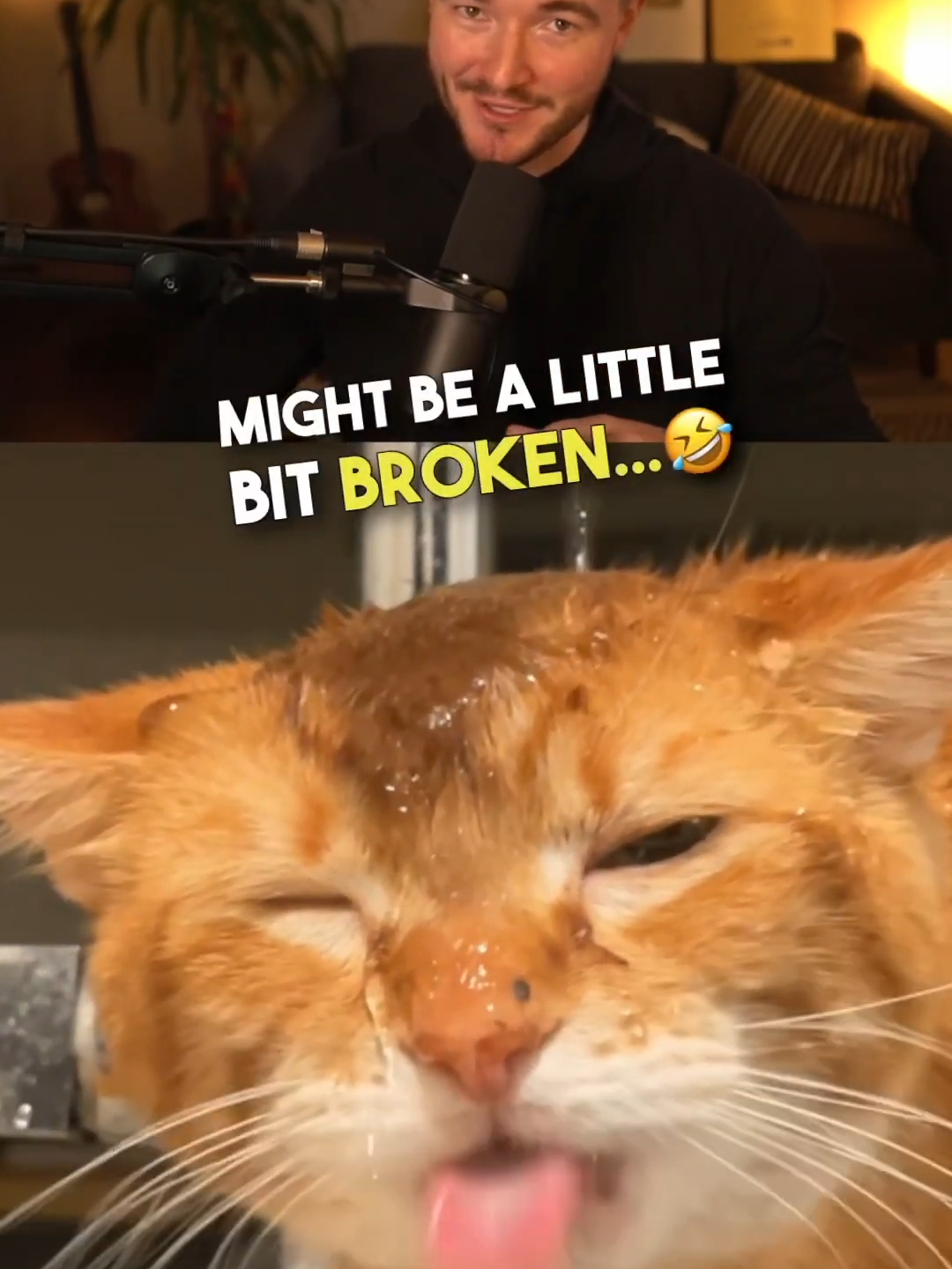 This cat is broken... #catvideos  #brokencat #cats #brennanrogers #fyp  🎥 (Timmy Gregson via ViralHog)