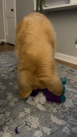 Llama only lasted two weeks 😂