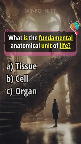 Anatomy Quiz for Americans - Comment how many did you get? #quiz #quiztime #anatomy #usa #fyp #Viral #makeitviral 