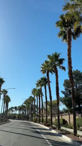 See you guys tomorrow? 😉🤍 #dayinmylife #Vlog #tiktokshortfilm  #Lifestyle #viral #trending #runerrandswithme #errandsvlog #weekdayvlog #marketingdigital #businessowner #20something #shopping #lasvegaslocal #medspa #facial #wynnlasvegas #ditl #acne 