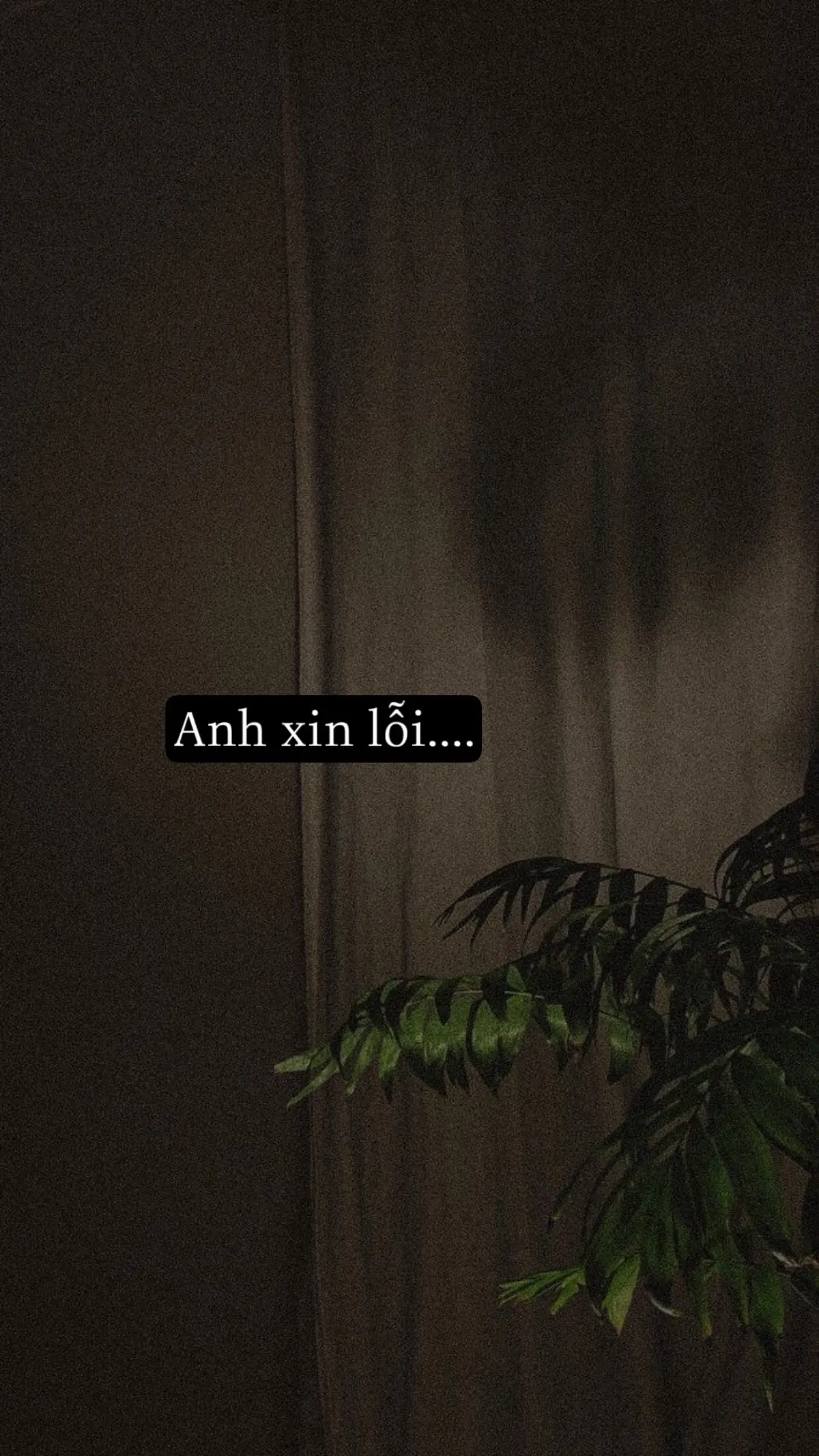 Anh xin lỗi,, #tinhyeu #xuhuong #hungcute #story 