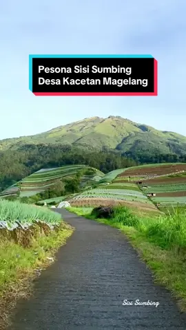Kanggo tombo kangen kampung halaman luur …,Ayune Sisi Sumbing Magelang 🌿❤️#sisisumbing #fyp #exploremagelang #panoramaalamindonesia 
