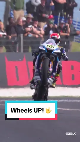 It’s YOUR 🫵 favourite day of the week 🎉 Happy #WheelieWednesday everyone! 🥳 #AustralianWorldSBK 🇦🇺 #WorldSBK #motorcycle #Motorsport #racing #sportsontiktok 