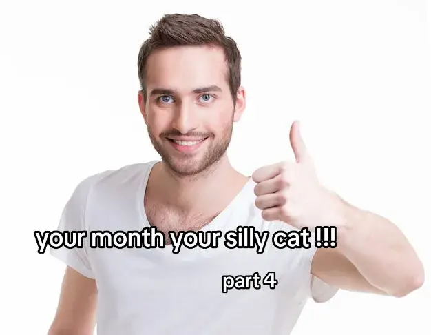 #yourmonthyourthing #yourmonth #birth #silly #funny #sillycat #cat #cutecat 