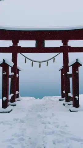 Gozanoishi Shrine / 御座石神社 A torii gate next to a lake in an area with heavy snowfall 🤩☃️⛩️👍 Please Share🥰😊🙏 Please follow 👉@japan_walker_  #japan #japantravel  #japantrip #anime #animejapan #japananime #japan🇯🇵 #traveljapan  #tripjapan #japan2024 #akita #akitalovers #akitagram #akitalife #akitaken #akitaprefecture #tohoku #秋田 #秋田県 #tazawako #田沢湖 #gozanoishishrine #御座石神社 #秋田観光 #japanwinter #snow #japon #japones #japonesa 