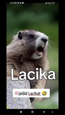 @lacika_07 🤣🤣🤣🤣