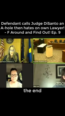 Defendant calls Judge DiSanto an A-hole then hates on own Lawyer! - F Around and Find Out! Ep. 9