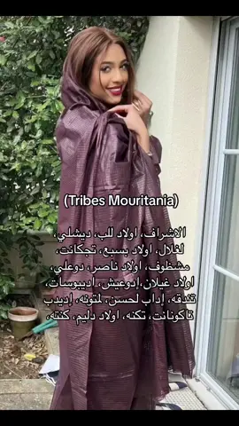🇲🇷🇲🇷✨#Mouritania#fyp #Almoravids#موريتانيا🇲🇷 #explore #قبائل_موريتانيا #الاشراف #اولاد_للب#_تندقه##🇲🇷_تكنه#_كنته#الغلال#اولاد_ناصر#مشظوف#ديشلي#إديبوسات#اولاد_دليم#اداب_لحسن #لمتونه الخ…#🇲🇷🇲🇷🇲🇷🇲🇷🇲🇷 